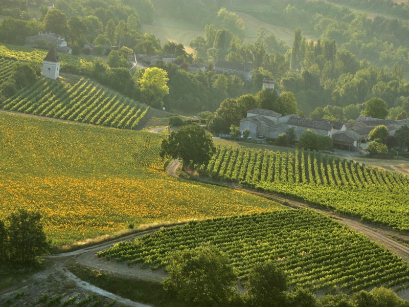 causse-sud-Tarn-the-Gaillac-vineyards-CRT-Midi-Pyrenees-D.Viet-si1